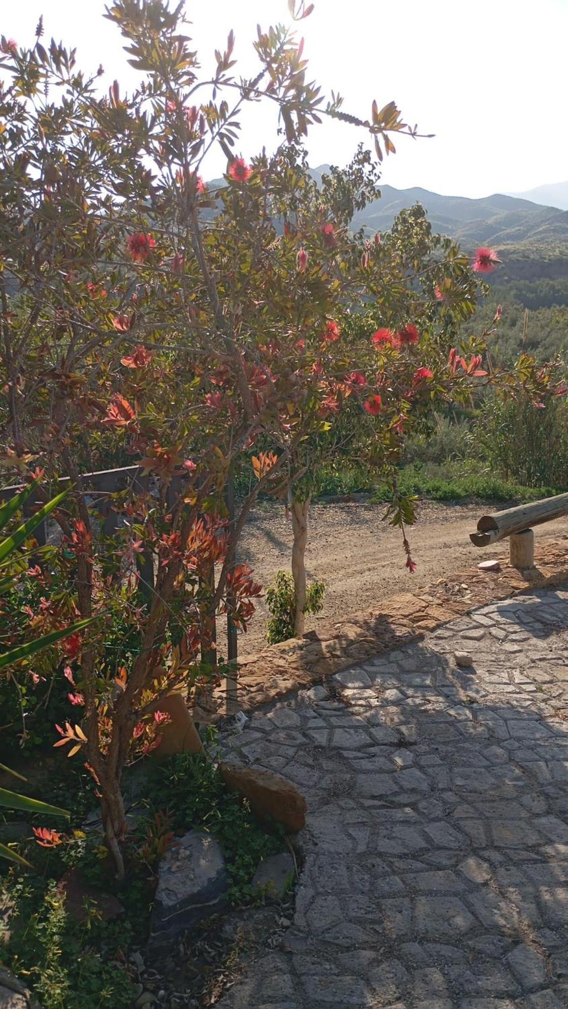 Cortijo Rural Molino El Tarahal Con Piscina Y Zonas Compartidas Exterior foto